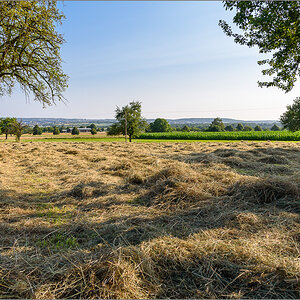 D75_3741.jpg