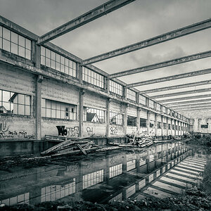 Skeleton Reflection