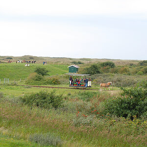 DSC_3010.jpg