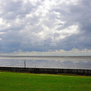 DSC_1327.jpg
