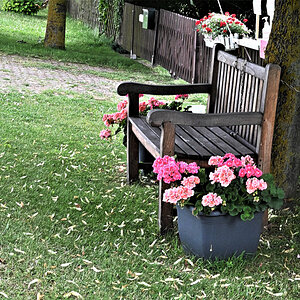 Eine Blumenbank.jpg