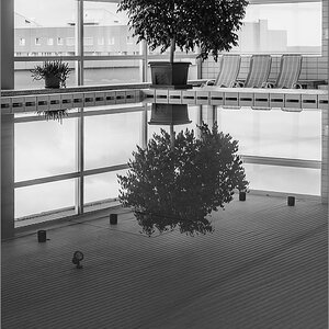 D75_3836.jpg