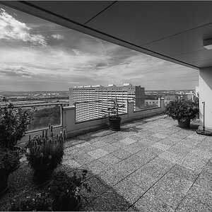 D75_3793.jpg
