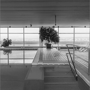 D75_3782.jpg