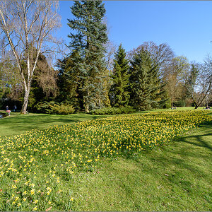 D75_3121.jpg