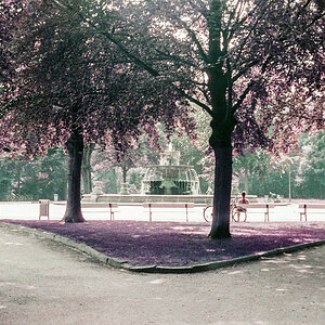 20210731-008.jpg