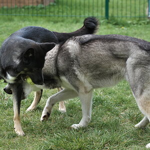 DFX_9469.jpg