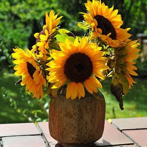 Sonnenblumenstrauß.jpg