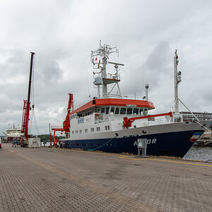 AL557-182.jpg