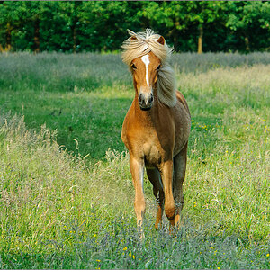 DS2_2590-Bearbeitet.jpg