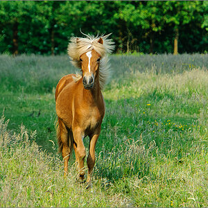 DS2_2586-Bearbeitet.jpg