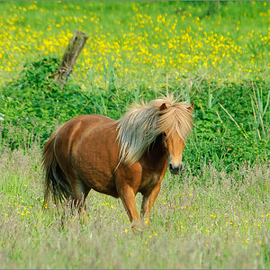DS2_2577-Bearbeitet.jpg