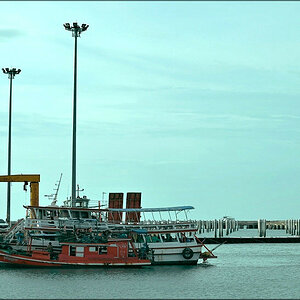 comp_DSC_5775.jpg