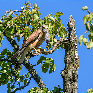 D72_6483-Bearbeitet.jpg