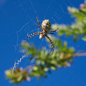 NZ6_5214.jpg
