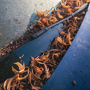 Münchfelder Autoherbst