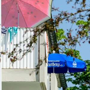 Sommer in der Stadt.jpg