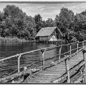 comp_D50_9026-Bearbeitet-2.jpg