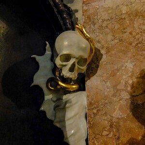 110-DSCF4154-1.jpg