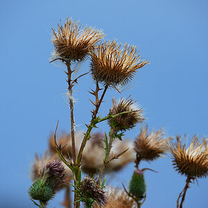 811_7700fkfs10s70p1.jpg