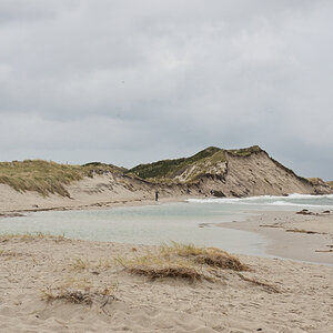DSC_9105.JPG