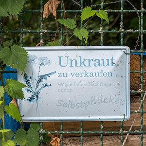 Z62_2539-Bearbeitet.jpg