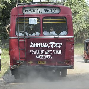 Bus.jpg