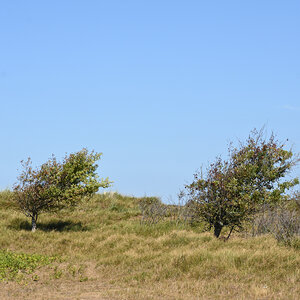 DSC_2237.JPG