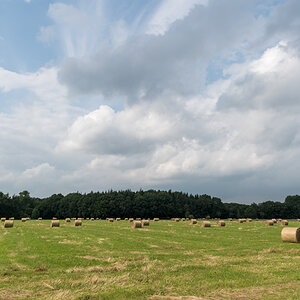 20210821-005.jpg