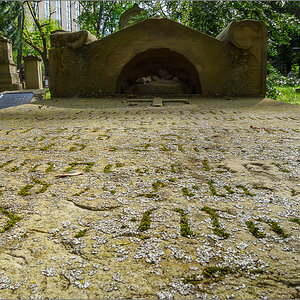 P5090067-2.jpg