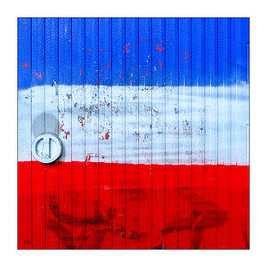 239/365.jpg