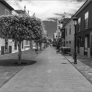 D75_6091.jpg