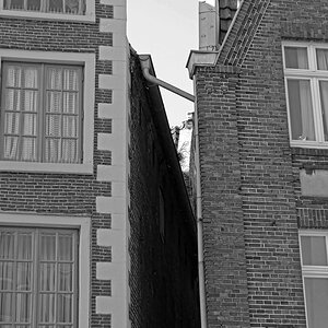 _1220625KSWxl.jpg