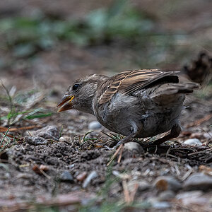 _DSC1303-Bearbeitet.jpg