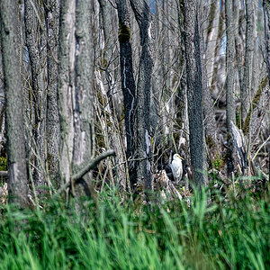 DSC_1565-Bearbeitet.jpg