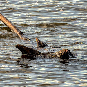 F80_3268#_204#.JPG