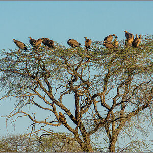 D72_5172-Bearbeitet.jpg