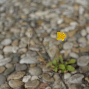 700_2743.jpg