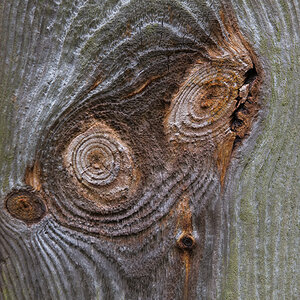 Holzgeist 1 (1 von 1).JPG