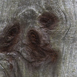 Holzgeist 2 (1 von 1).JPG