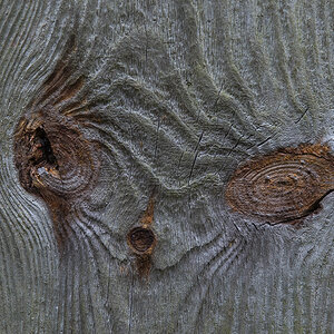 Holzgeist 3 (1 von 1).JPG