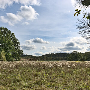 RAD_5580.jpg
