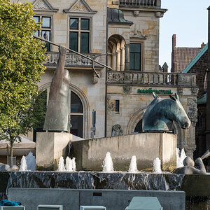 20210914-013.jpg