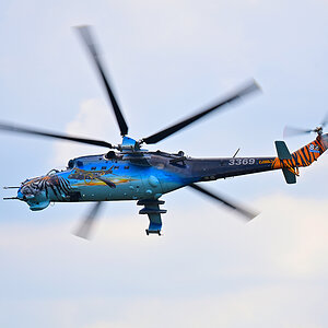 D6_13265.jpg