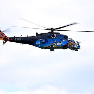 D6_13222.jpg