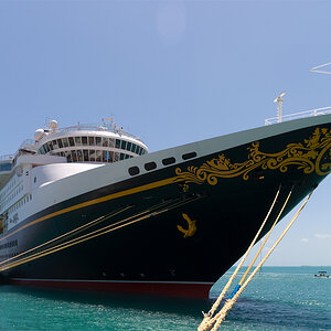 DisneyMagic1.jpg