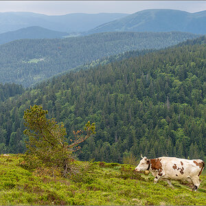 D75_8835-Bearbeitet.jpg