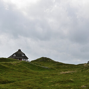 DSC_9032.JPG