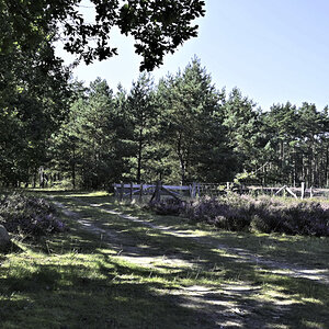 Kleiner Rundgang durch die Heide 2-5.JPG