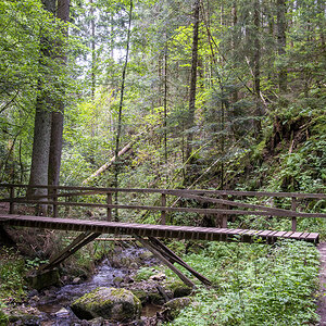 Brücke Lotenbachklamm1.jpg
